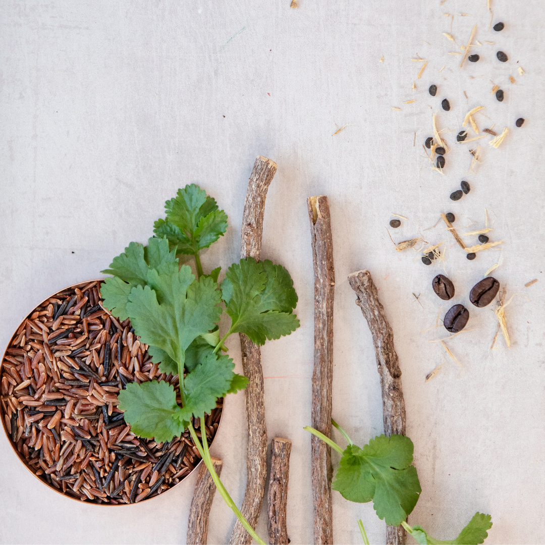 The Gift of Glow Serum Duo